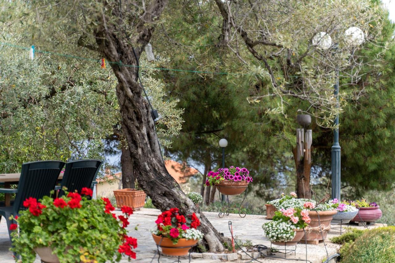 Villa Elia Kavala - Mediterranean Holiday Villa PalaiónTsiflíkion Zewnętrze zdjęcie