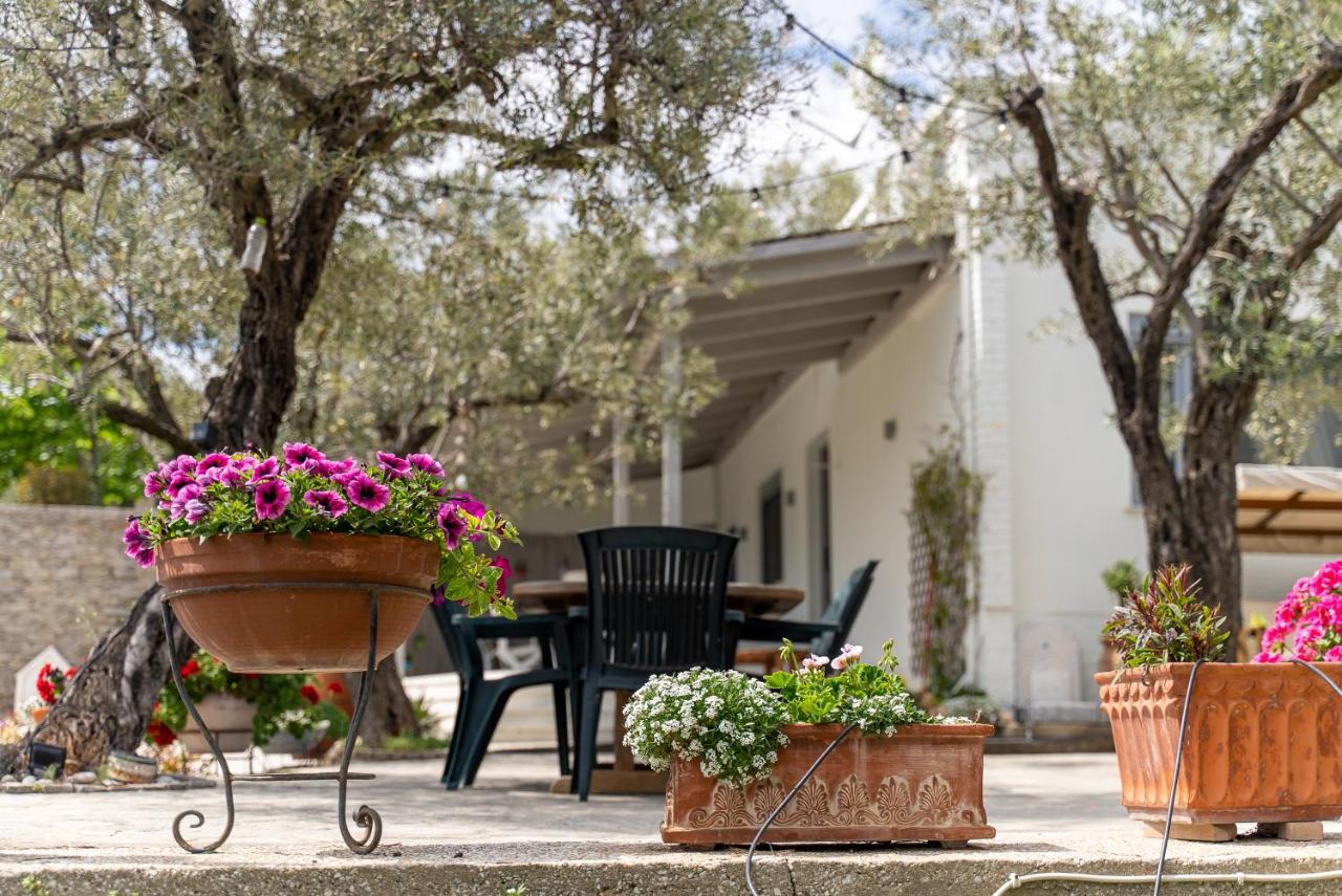 Villa Elia Kavala - Mediterranean Holiday Villa PalaiónTsiflíkion Zewnętrze zdjęcie